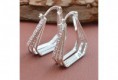 Aros de Plata Esterlina 925   